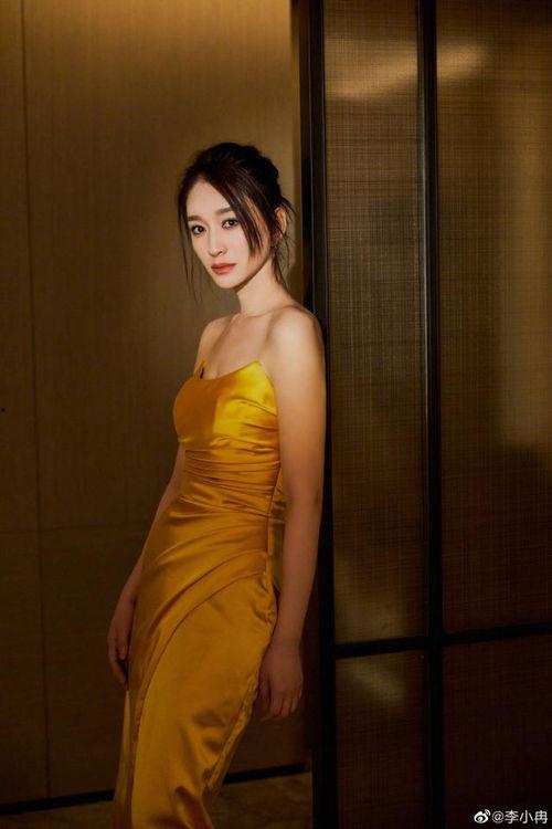 成人表演长裙视频,成人长裙表演艺术风采