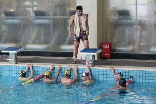 成人游泳教学方案大全视频,轻松掌握水上技巧