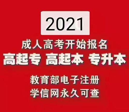 成人本科报名视频素材,视频素材深度解析