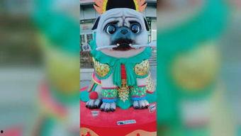 青蛙变成人的视频,揭秘神奇生物的蜕变奥秘