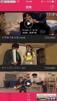 牛牛碰成人在线观看视频,揭秘网络直播的诱惑与风险