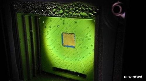 合成人造树叶视频,仿生科技引领绿色未来