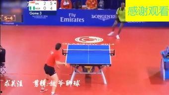 成人乒乓球比赛技巧视频,揭秘成人比赛技巧精髓