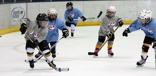 成人初学冰球刀视频